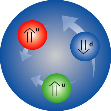 Dos quarkss up y un quark down, estructura que define un protón