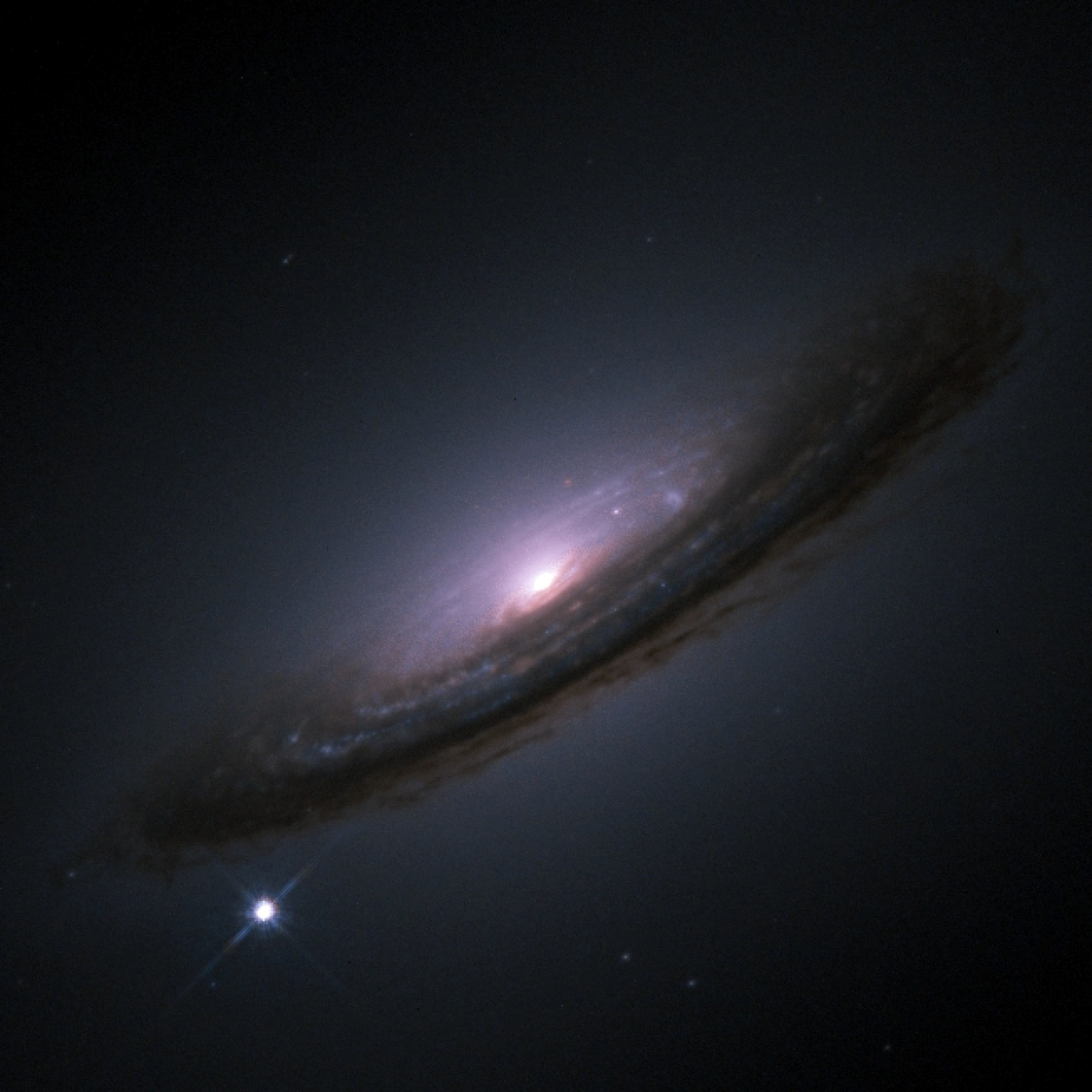 sn1994d