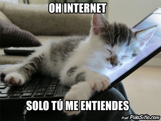 tumblr_m656s1tw081r471mpo1_1280