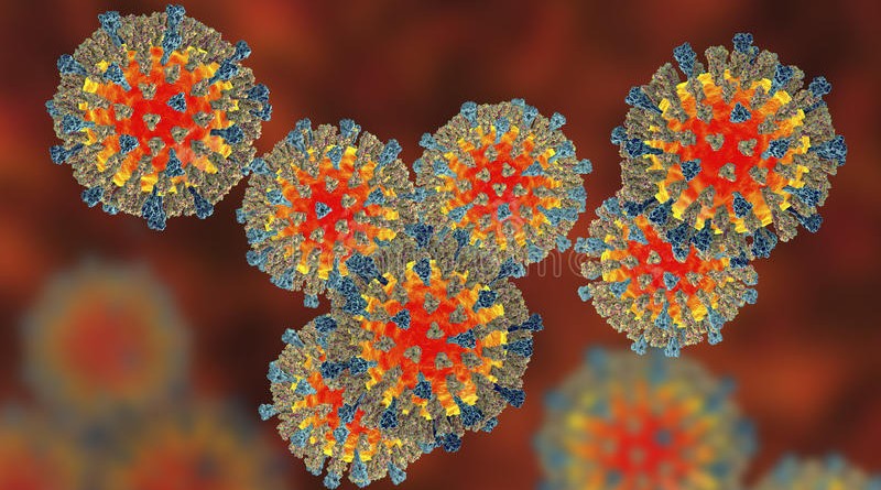 Virus-sarampión-800x445