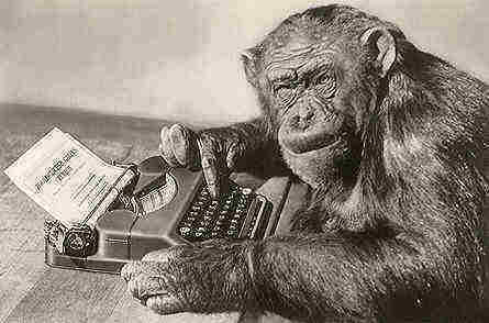 monkeytypist