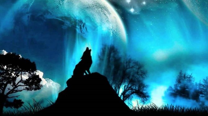 night_wolf
