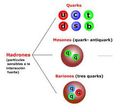hadrones