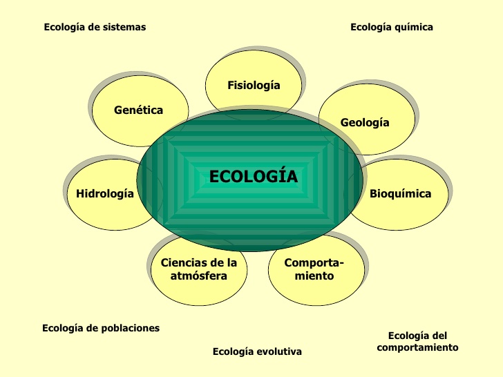 ecologia-3-728